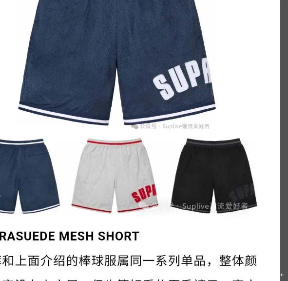 MESH shorts 24SS ULTRASUDE mesh SHORT suede 0721